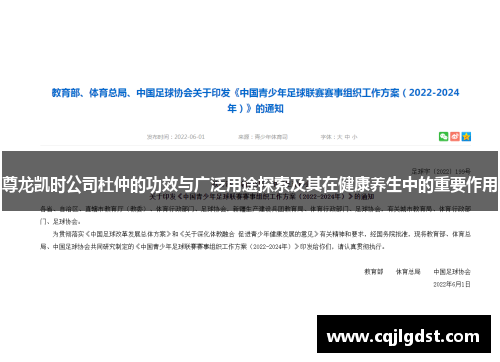 尊龙凯时公司杜仲的功效与广泛用途探索及其在健康养生中的重要作用