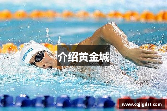 介绍黄金城
